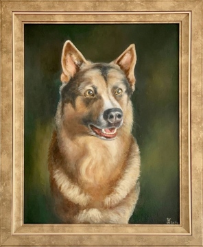 German-Shepherd-Dog-Portrait